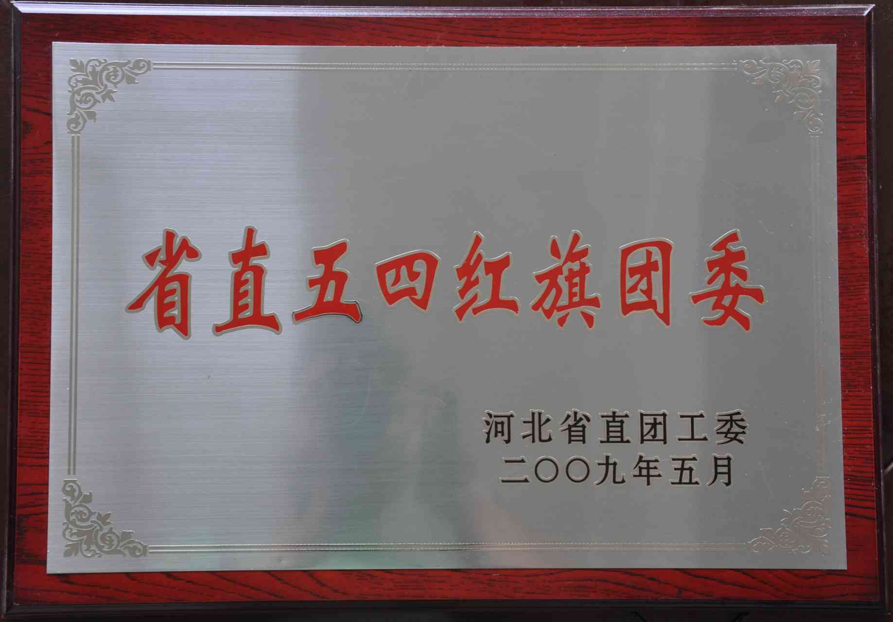 2008年度省直五四红旗团委